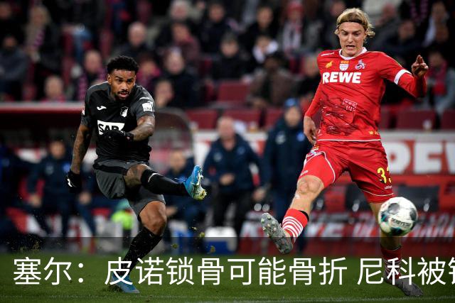 塞尔：皮诺锁骨可能骨折 尼科被铲伤可能提前结束世界杯之旅