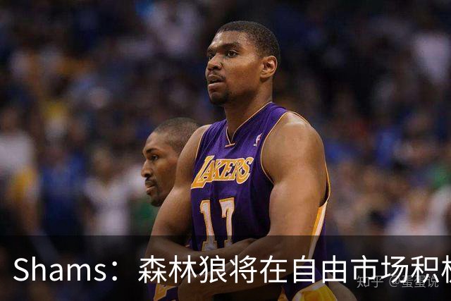 Shams：森林狼将在自由市场积极补强4号位 但他们只能提供底薪